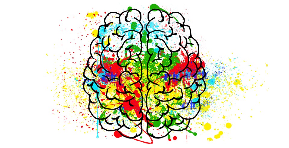 ¿Cambia el cerebro con el entrenamiento para la dislexia?