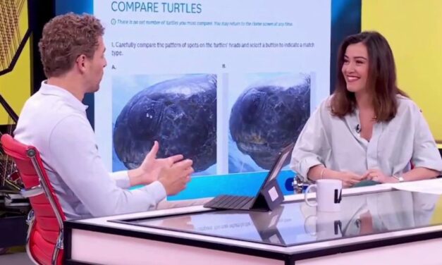 ¿Puede la IA salvar a las tortugas marinas? Luz Rello te lo cuenta en La Aventura del Saber