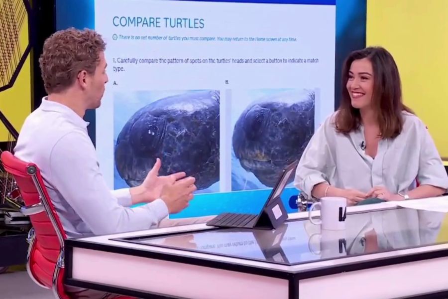 ¿Puede la IA salvar a las tortugas marinas? Luz Rello te lo cuenta en La Aventura del Saber